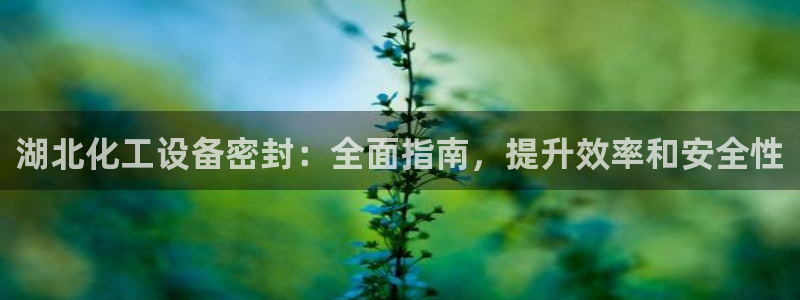 新航娱乐的背景和历史背景是什么