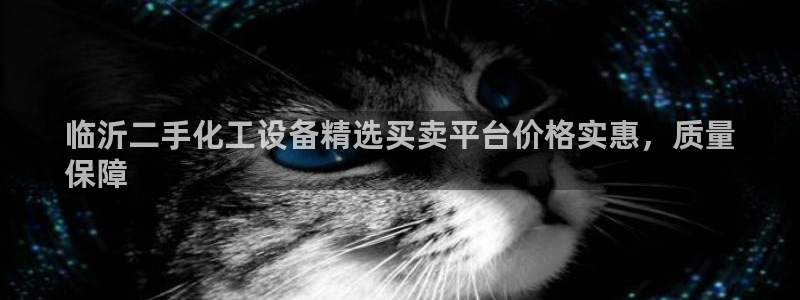 新航娱乐的背景和历史背景是什么