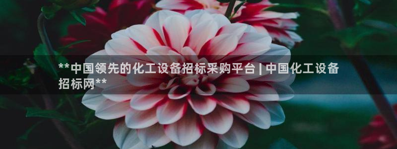 新航娱乐元哥
