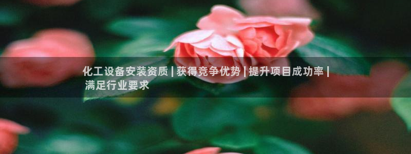 新航娱乐公司简介和历史背景分析