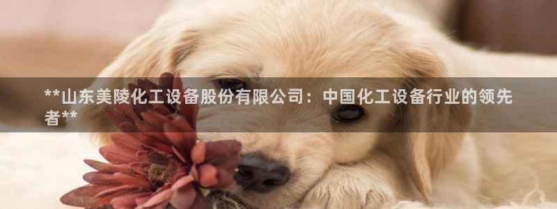 新航娱乐公司扣费流程详解表格