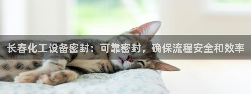 新航娱乐的创始人简介