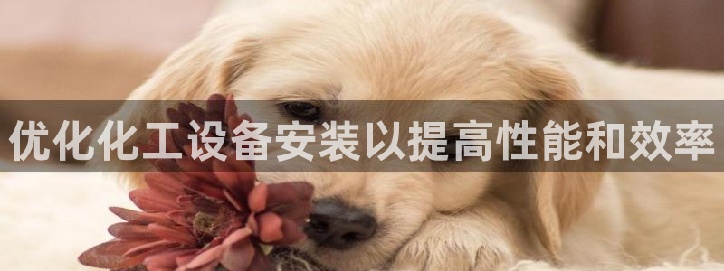 新航娱乐扣款了客服能追回吗