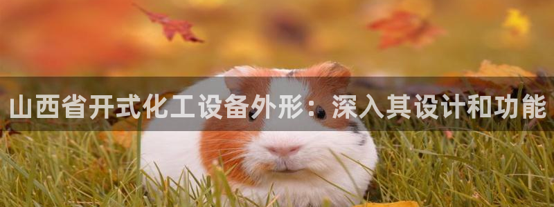新航娱乐官网最新版本更新内容下载：山西省开式化工设