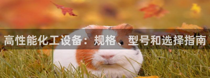 新航娱乐app官方免费下载安装