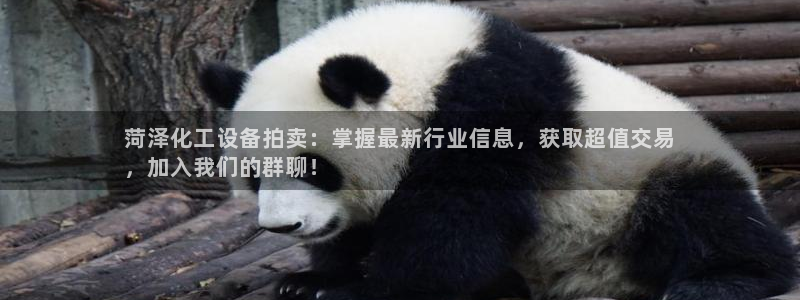 新航娱乐app的最新版本更新内容