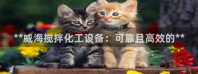新航娱乐有限公司最新活动信息