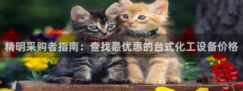 新航娱乐雀7IIII2联他前：精明采购者指南：查找