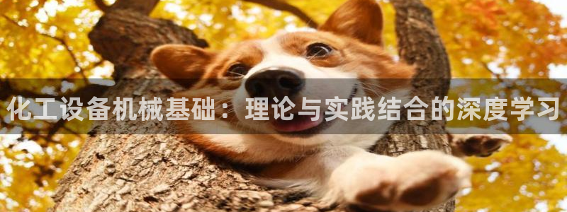 新航娱乐的背景和历史背景介绍