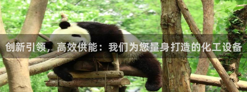 新航娱乐公司旗下艺人都有谁