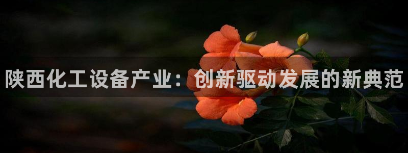 新航娱乐公司扣费流程详解视频大全