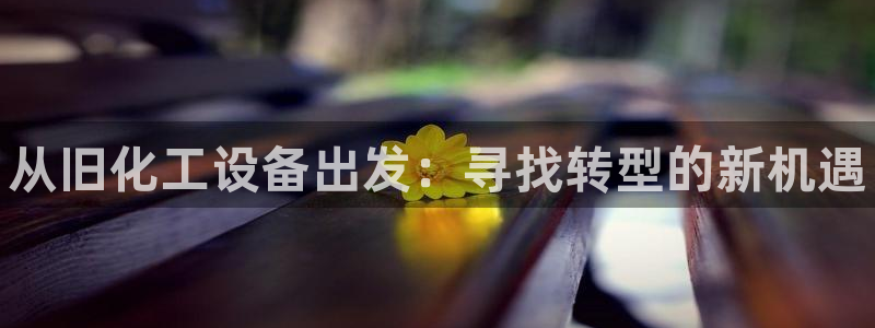 新航娱乐公司简介和历史背景