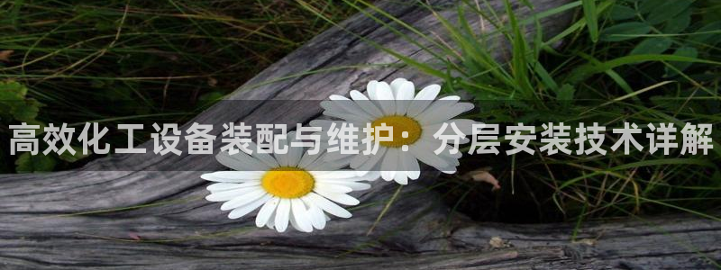 新航娱乐app手机版官网下载安装：高效化工设备装配