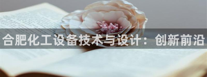 新航娱乐扣款后还能重新扣：合肥化工设备技术与设计：