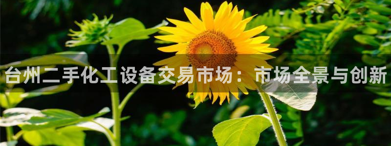 新航娱乐扣款能追回来吗