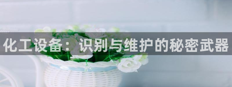 新航娱乐官网下载：化工设备：识别与维护的秘密武器