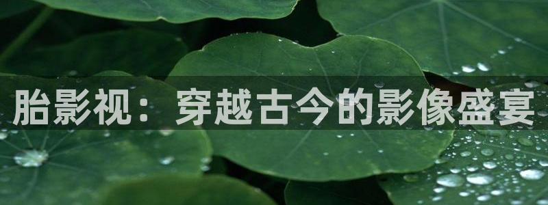 老司机电影院免费在线观看：胎影视：穿越古今的影像盛宴
