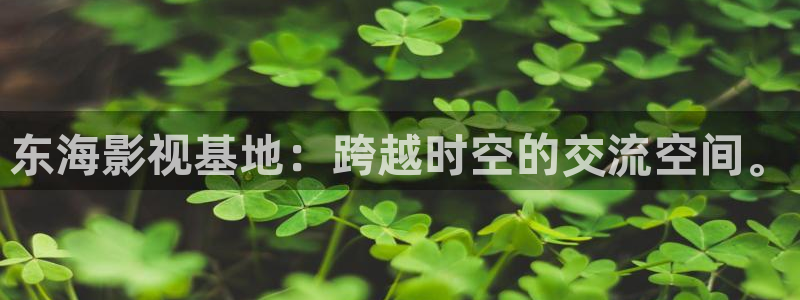 国产老司机影院：东海影视基地：跨越时空的交流空间。